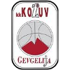 https://img.syntou.com/img/basketball/team/4b06fe02aaa7da5901e5698485059da0.png