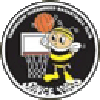 https://img.syntou.com/img/basketball/team/e416830f4083698237c559f8988ddb25.png