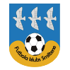 https://img.syntou.com/img/football/team/259a1106a33b56d2bb3c458a62ffa2ea.png